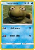 concern turtle