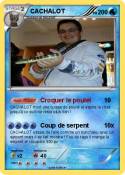 CACHALOT