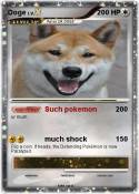 Doge