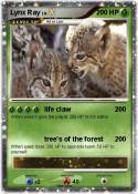 Lynx Ray