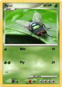 fly