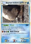 Elephant Sealar