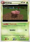 Mudpigg