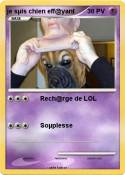 je sµis chien