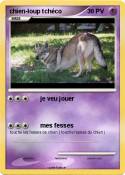 chien-loup