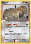 M Lapin