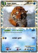 tigre blanc