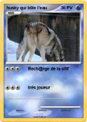 husky qui b0ie