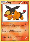 Tepig