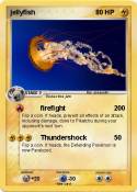 jellyfish
