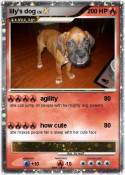 lily's dog