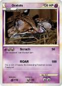 Ocelots
