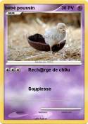 bébé poussin