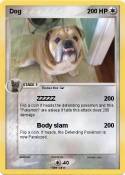 Dog