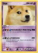 Doge