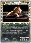Raisin Chat