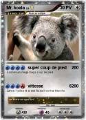 Mr. koala