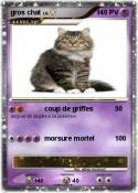 gros chat