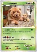 cute puppy