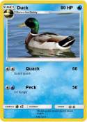 Duck