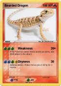 Bearded Dragon