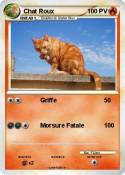 Chat Roux