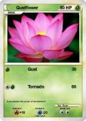 Gustflower