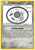 Cell Membrane