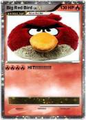 Big Red Bird
