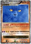 chat bleu