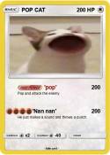 POP CAT