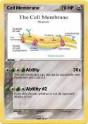 Cell Membrane