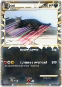 cat