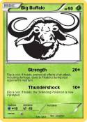 Big Buffalo