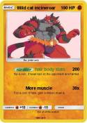 Wild cat incine