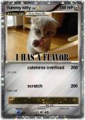 Yummy kitty