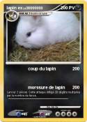 lapin ex
