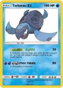 Tortueau EX