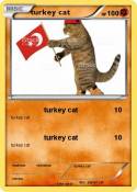 turkey cat