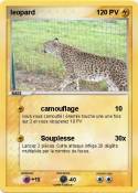 leopard