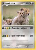 Arceus C niv.x