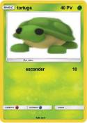 tortuga