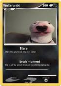 Walter