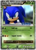 sonic the hedge