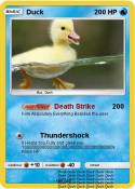 Duck