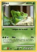Lézard