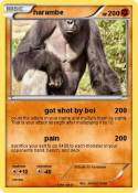 harambe