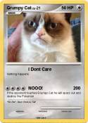 Grumpy Cat