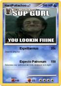 HarriPottachoo