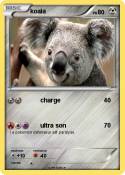 koala
